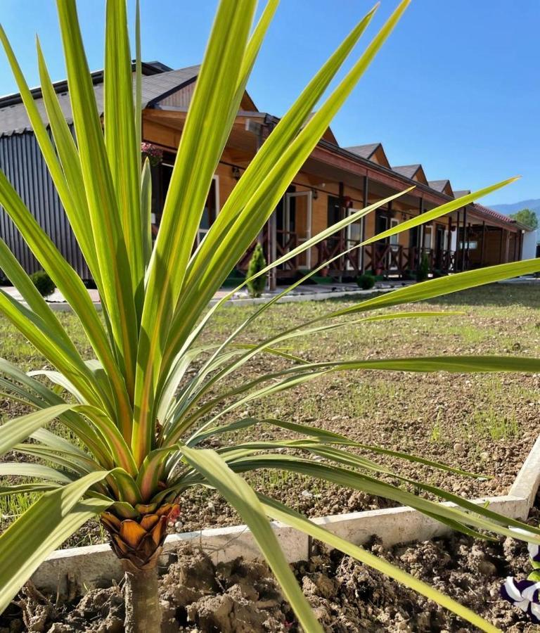 Hotel Askar Alakhadze Luaran gambar