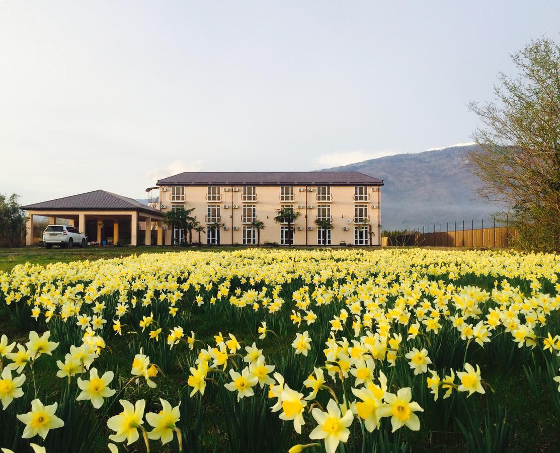 Hotel Askar Alakhadze Luaran gambar